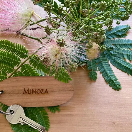 Mimoza Apartament Komiža